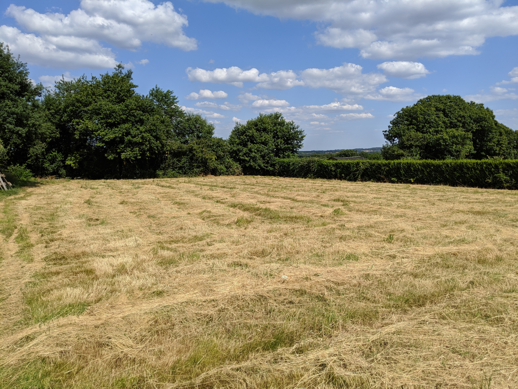 Vente Terrain