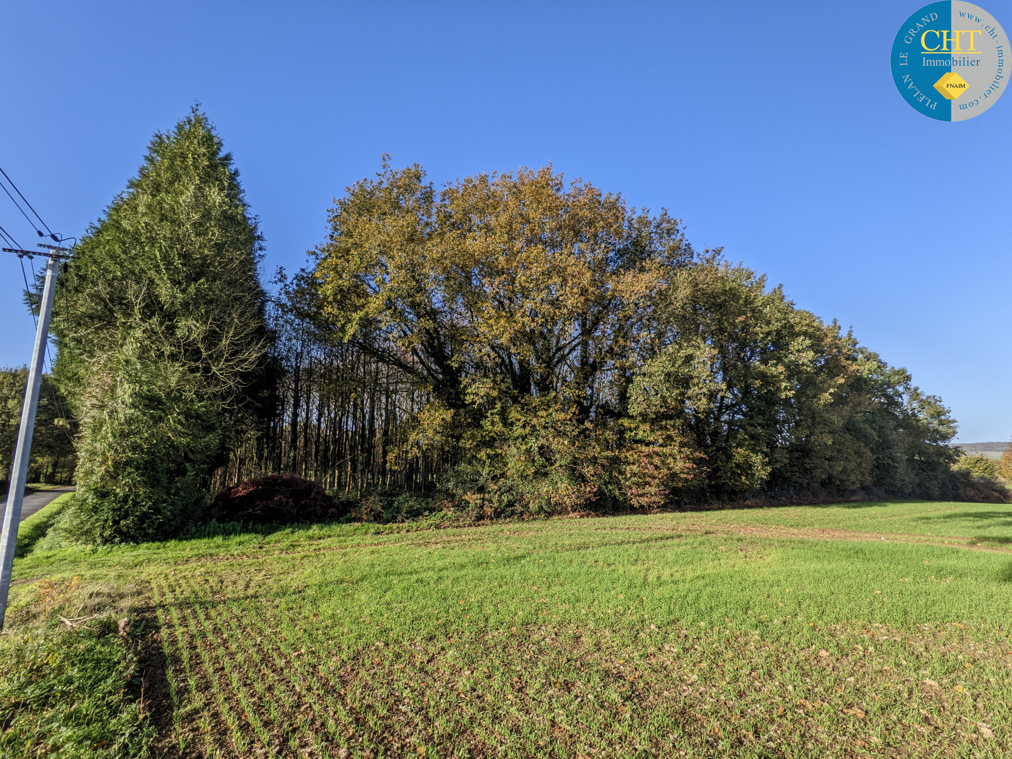 Terrain Boise A Vendre Pas Cher