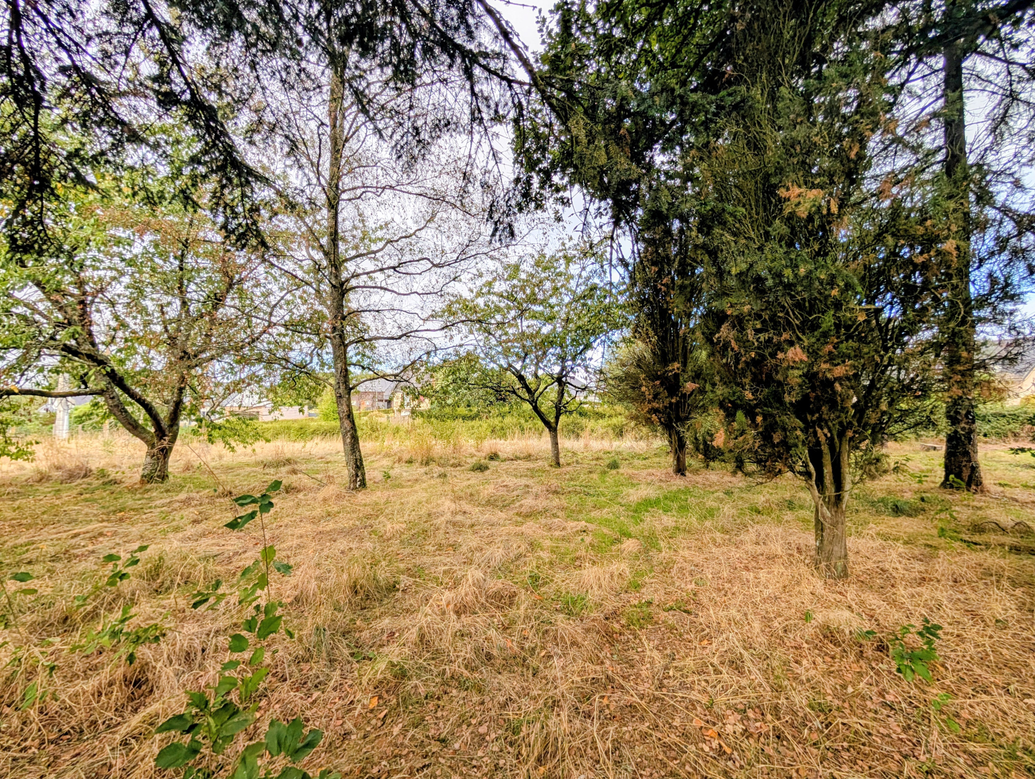 TERRAIN À BÂTIR VIABILISÉ DE 500 M2 À PLÉLAN-LE-GRAND (35380) AVEC CHT IMMOBILIER