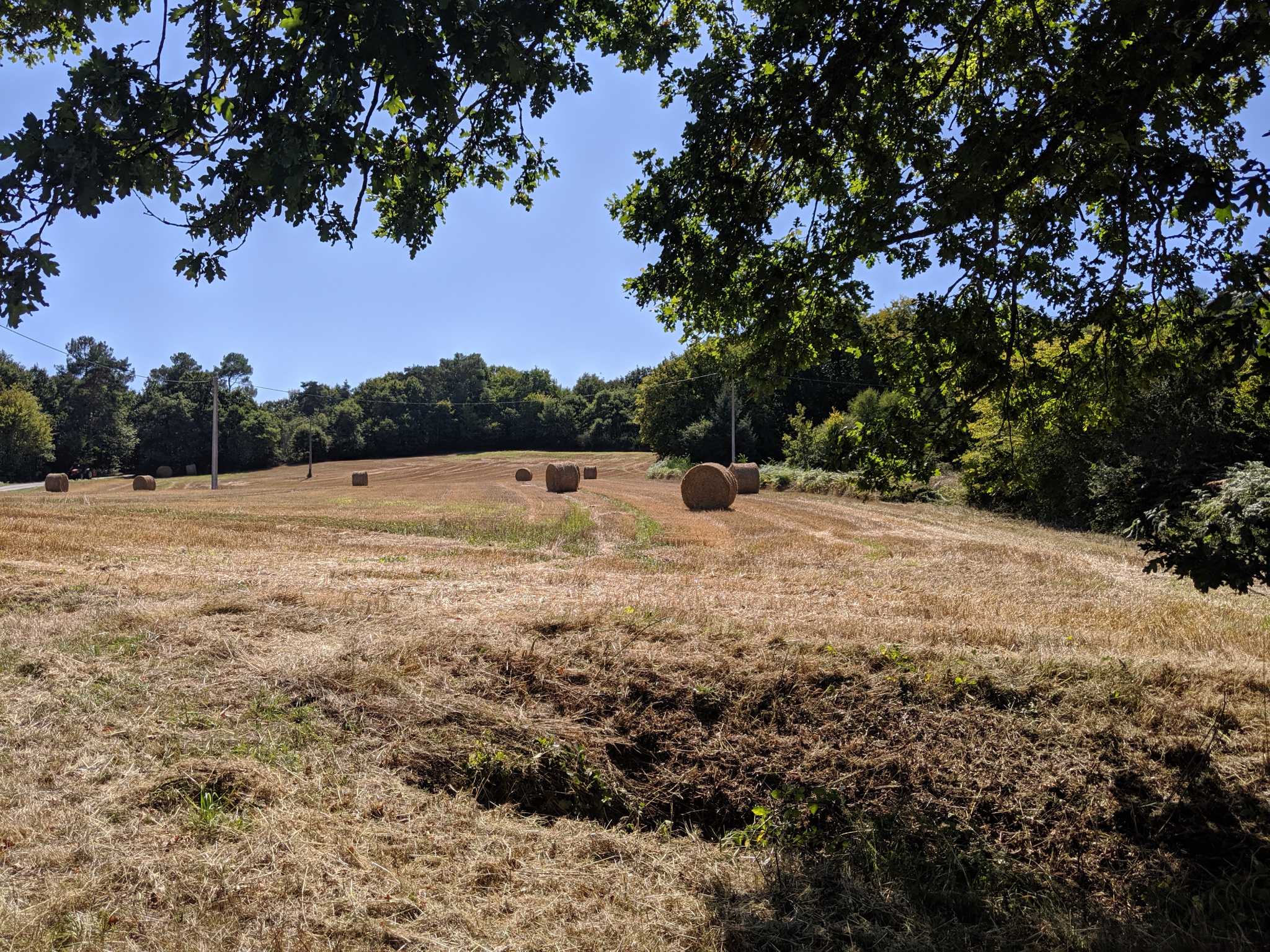 Vente Terrain