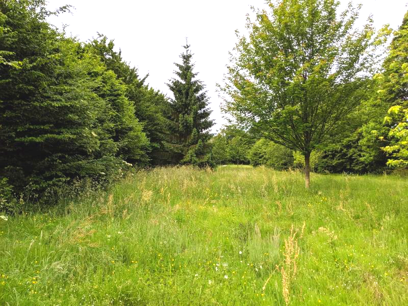 Vente Terrain
