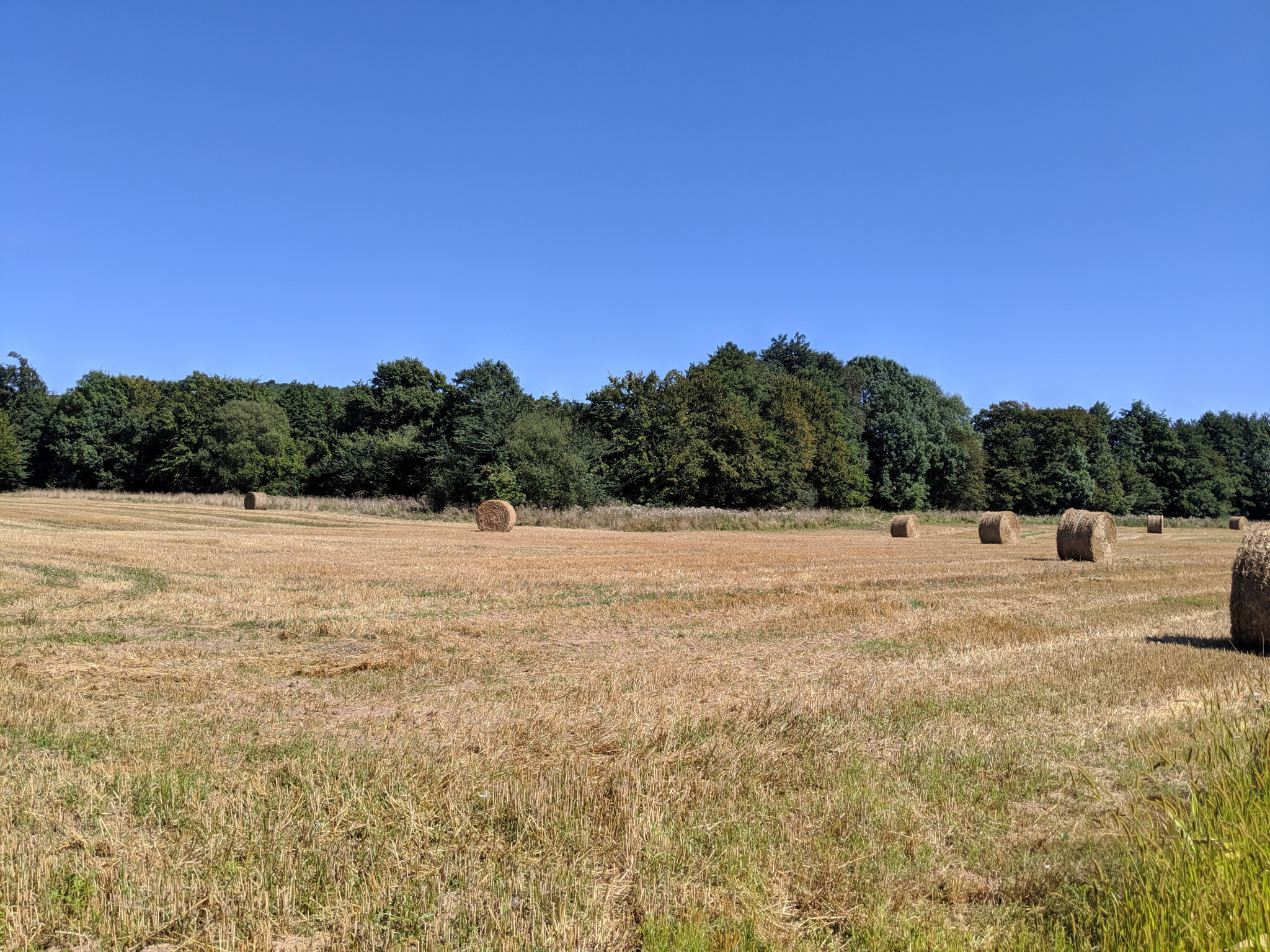 Vente Terrain