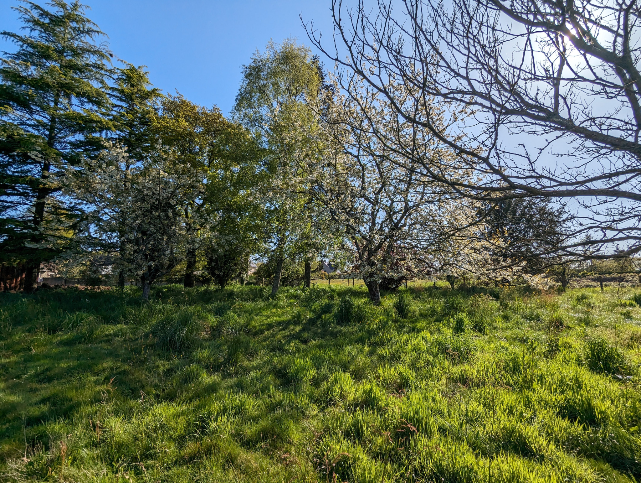 RARE : GRAND TERRAIN À BÂTIR VIABILISÉ DE 1 000 M2 À PLÉLAN-LE-GRAND (35380) AVEC CHT IMMOBILIER