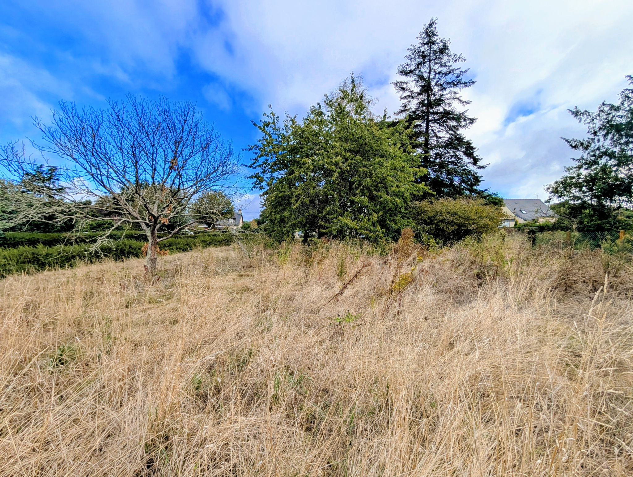 TERRAIN À BÂTIR NON VIABILISÉ DE 500 M2 À PLÉLAN-LE-GRAND (35380) AVEC CHT IMMOBILIER